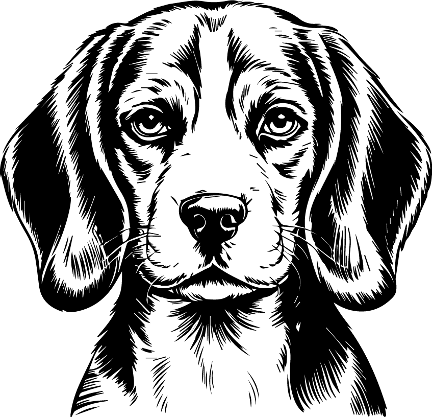 Dog Portrait PNG 52