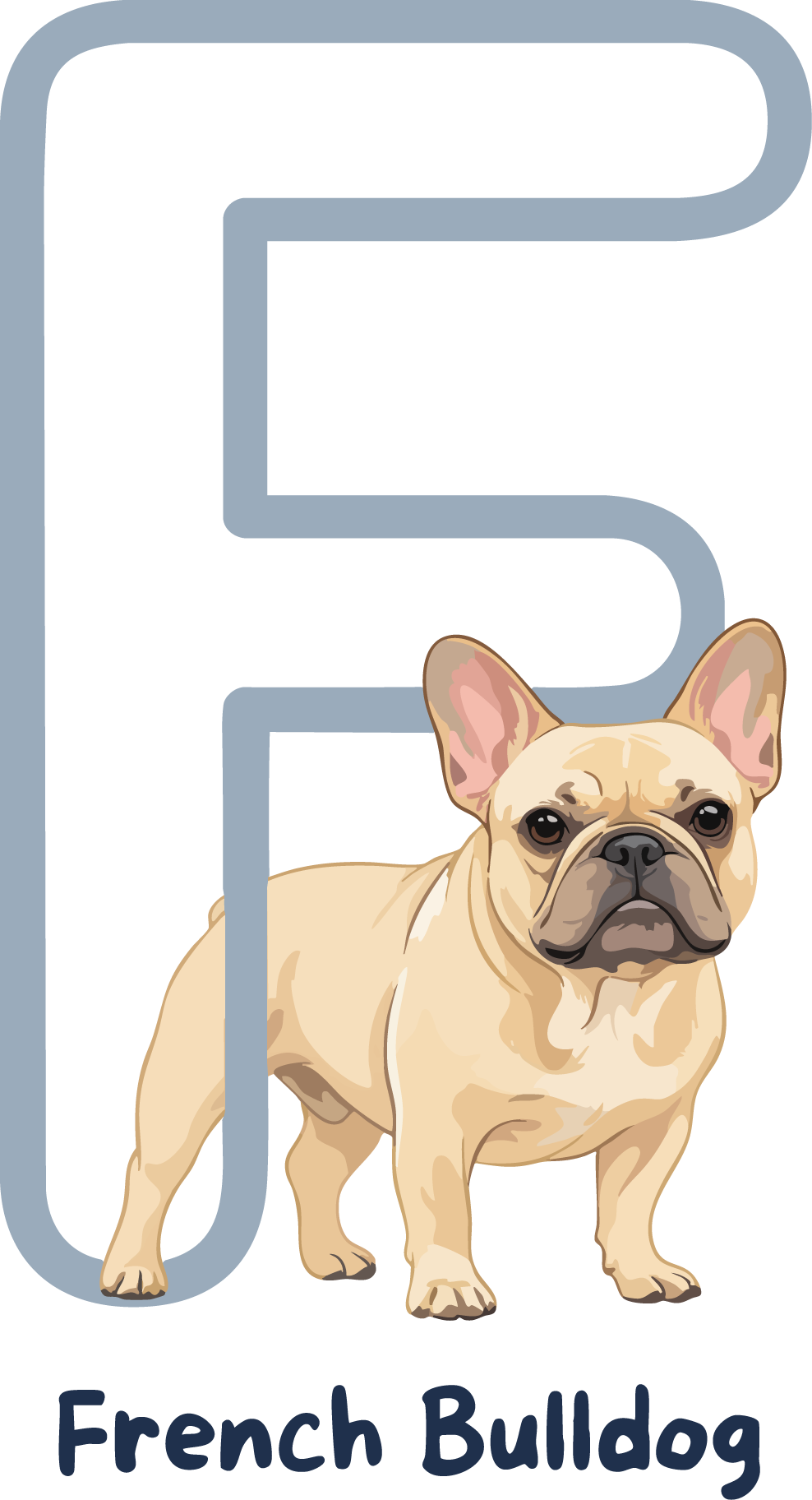 French Bulldog Dog Breed Alphabet PNG