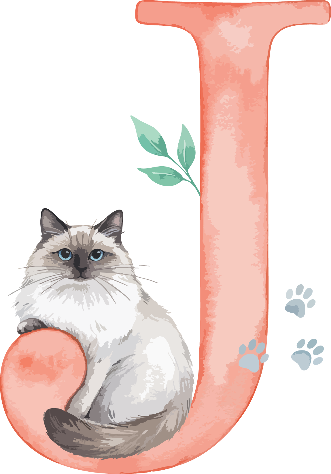 J Cat Theme Watercolor Alphabet PNG