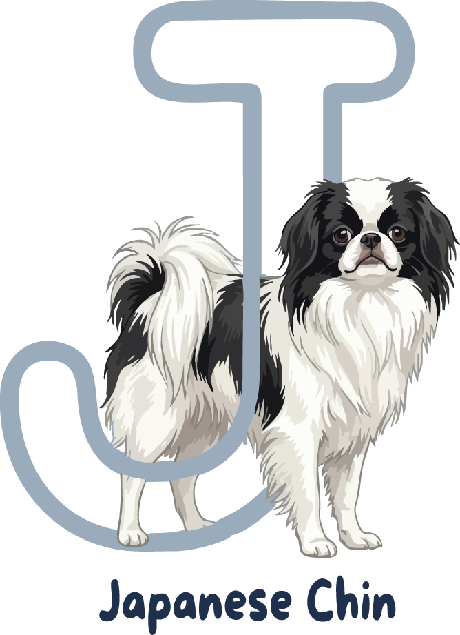 Japanese Chin Dog Breed Alphabet PNG