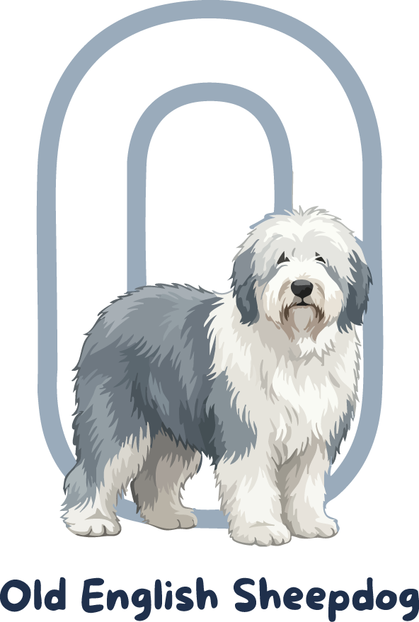 Old English Sheepdog Dog Breed Alphabet PNG