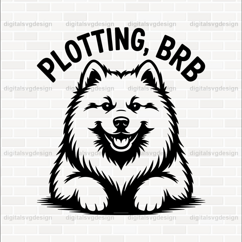 Plotting, Brb SVG