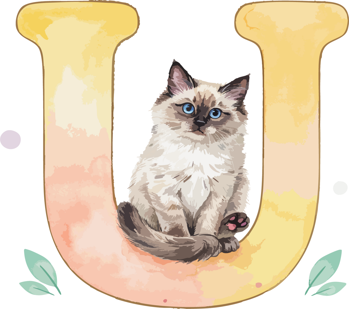 U Cat Theme Watercolor Alphabet PNG