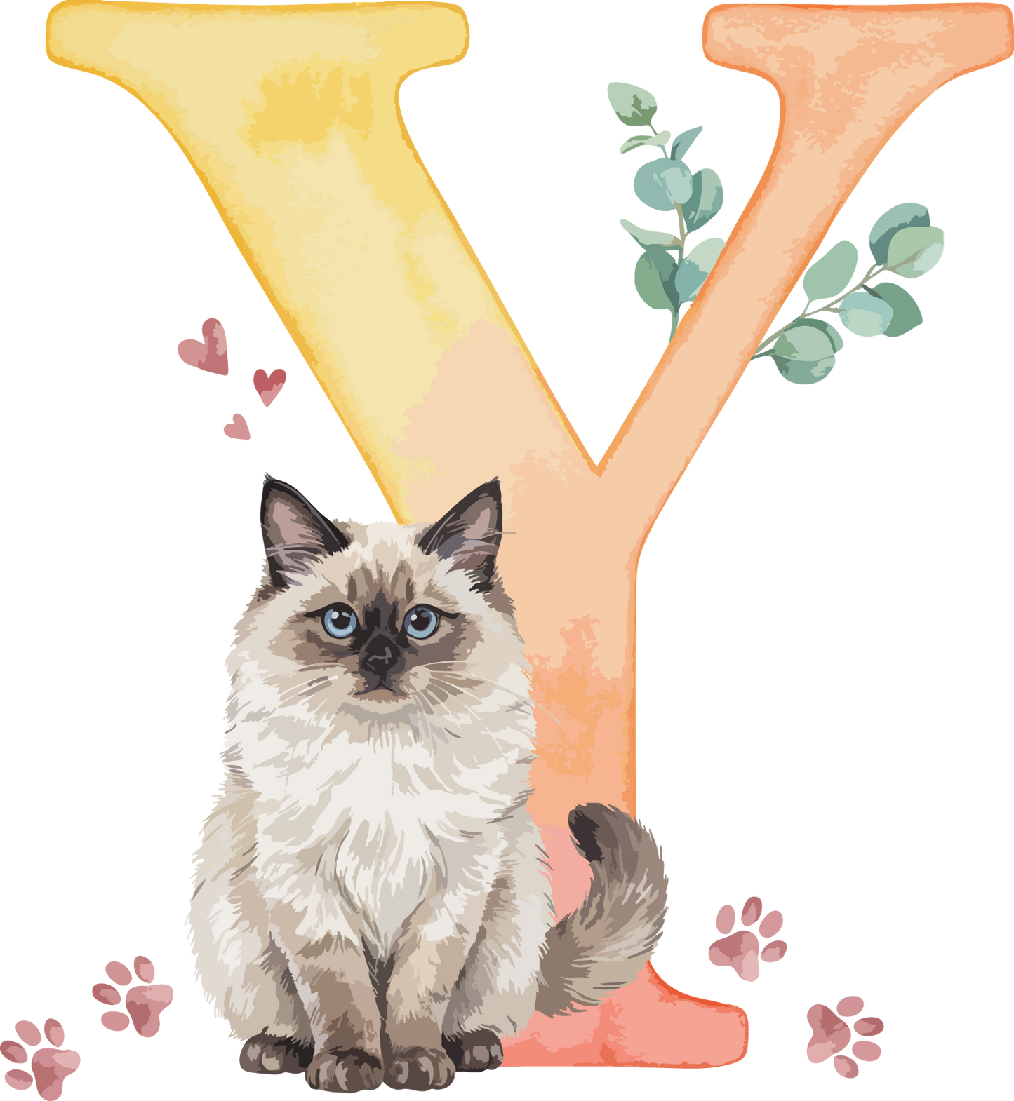 Y Cat Theme Watercolor Alphabet PNG