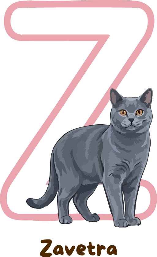 Zavetra Cat Breed Alphabet PNG