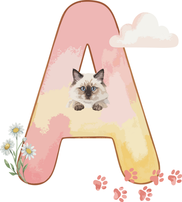 A Cat Theme Watercolor Alphabet PNG