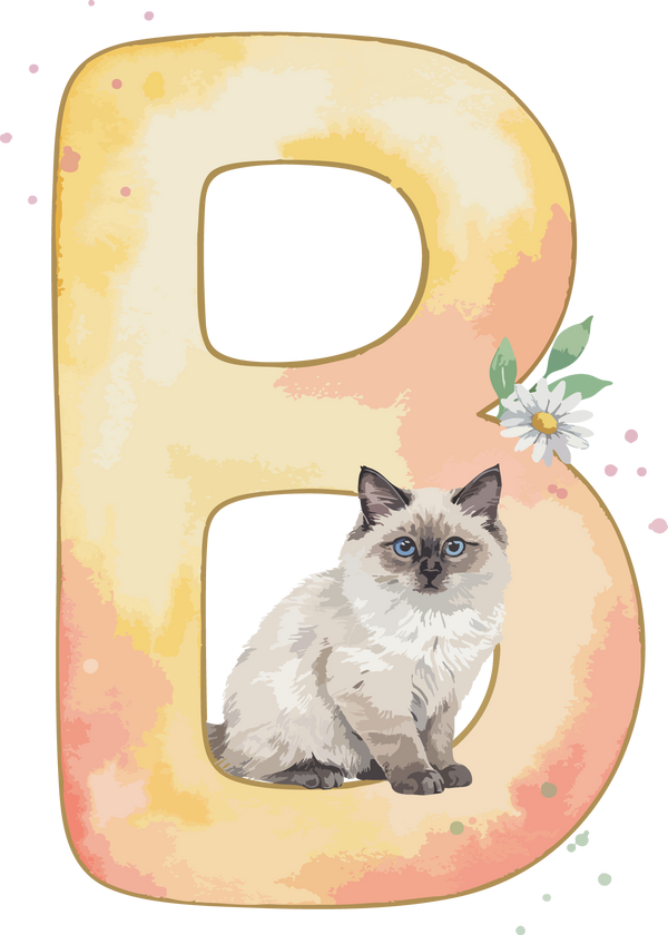 B Cat Theme Watercolor Alphabet PNG