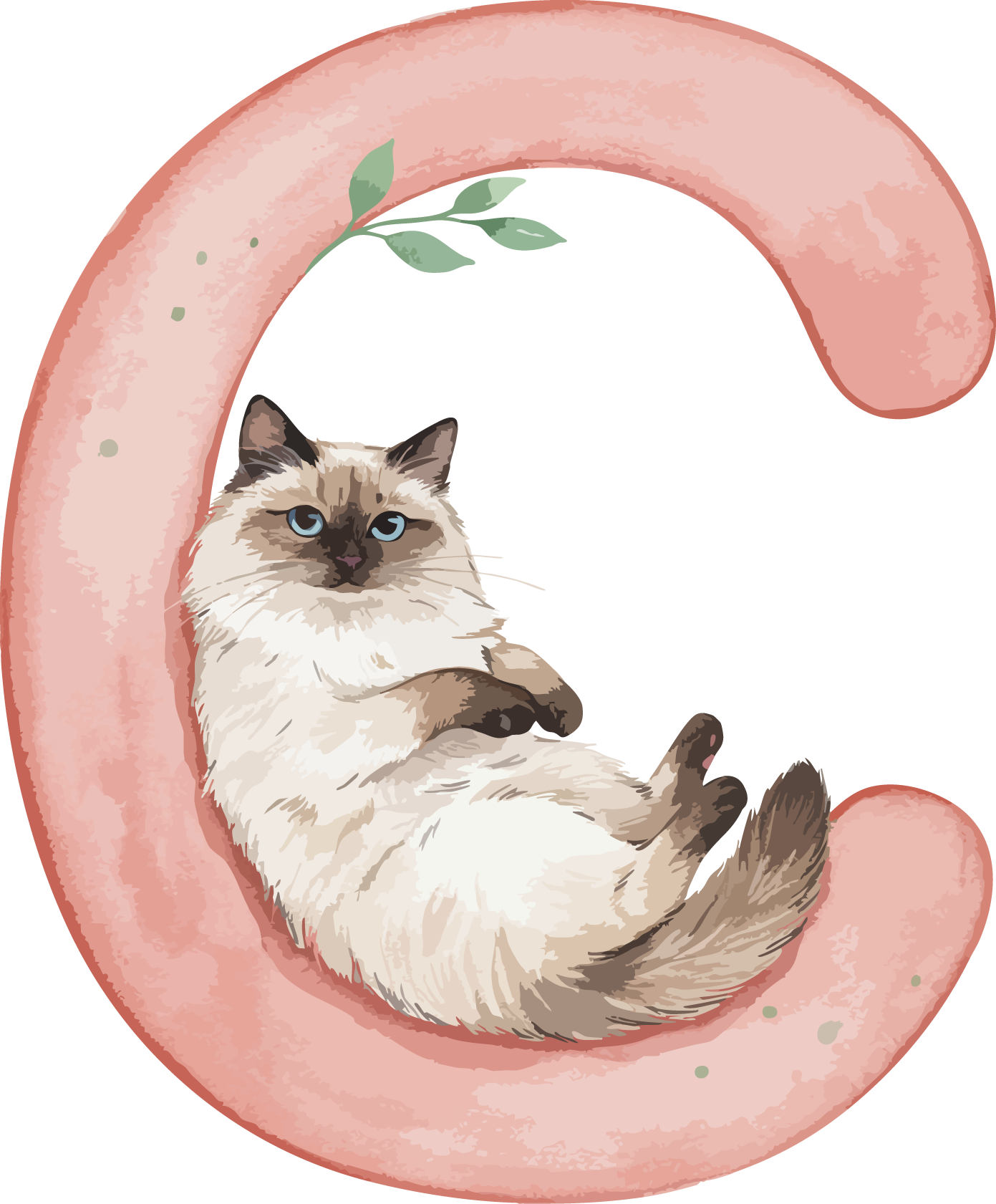 C Cat Theme Watercolor Alphabet PNG