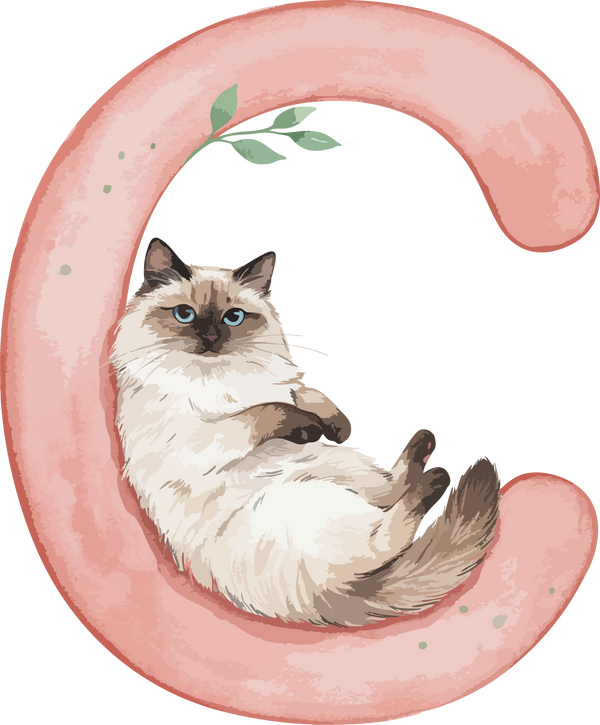 C Cat Theme Watercolor Alphabet PNG