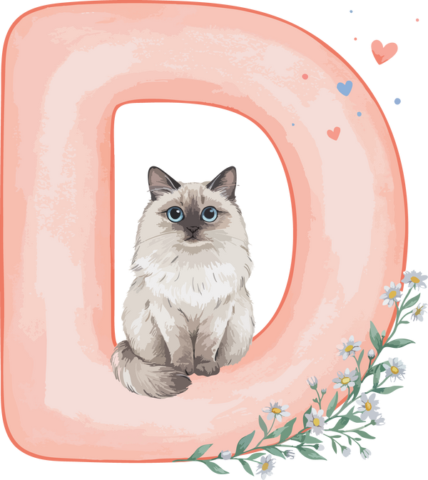 D Cat Theme Watercolor Alphabet PNG