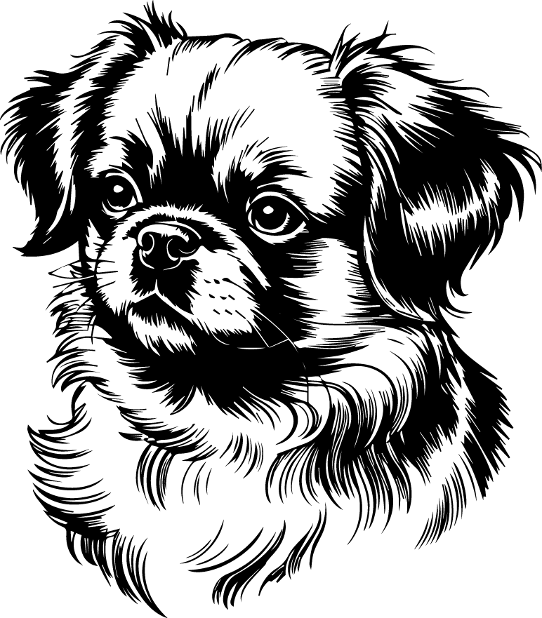 Dog Portrait PNG 1