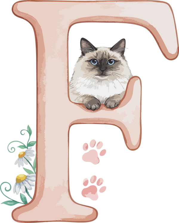 F Cat Theme Watercolor Alphabet PNG