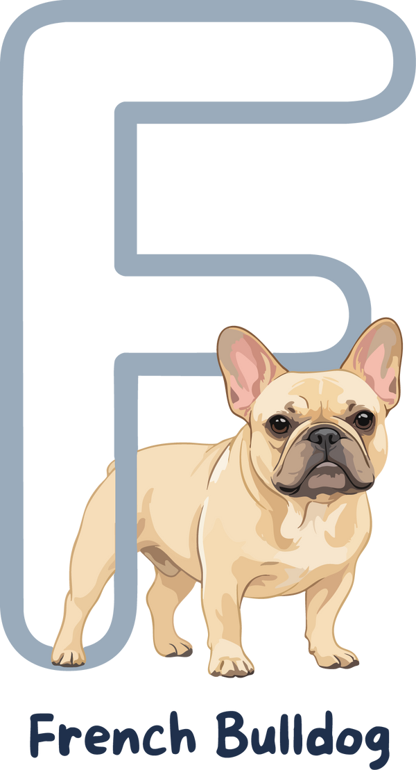 French Bulldog Dog Breed Alphabet PNG