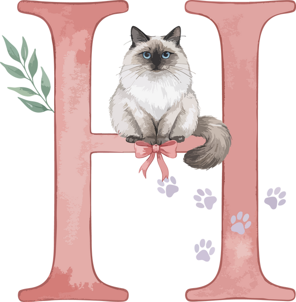 H Cat Theme Watercolor Alphabet PNG