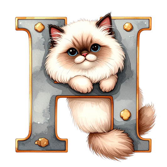 H PNG Clip Art