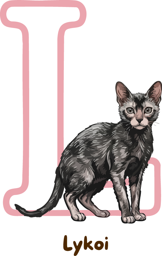 Lykoi Cat Breed Alphabet PNG