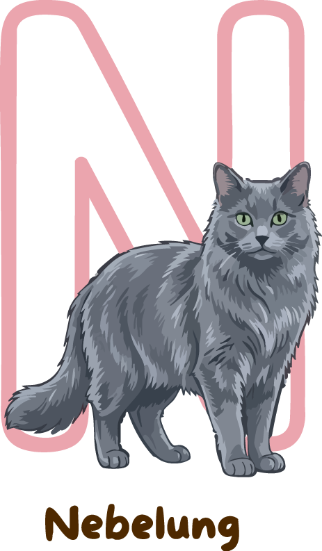 Nebelung Cat Breed Alphabet PNG