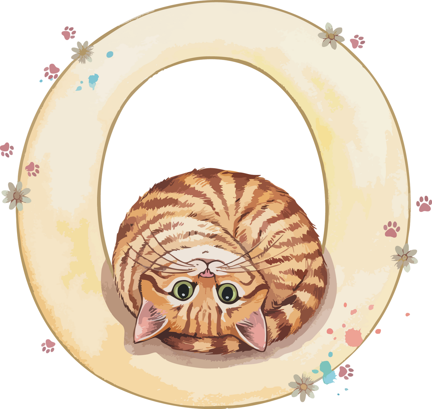 O Cat Theme Watercolor Alphabet PNG