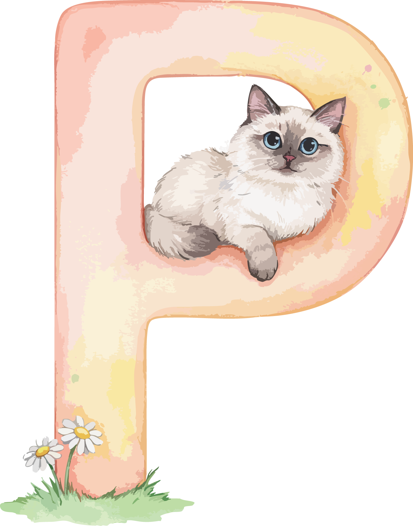 P Cat Theme Watercolor Alphabet PNG