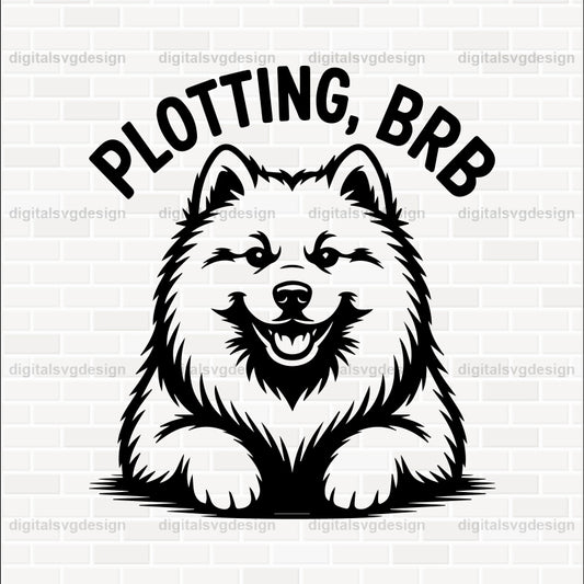 Plotting, Brb SVG