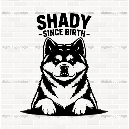 Shady Since Birth SVG