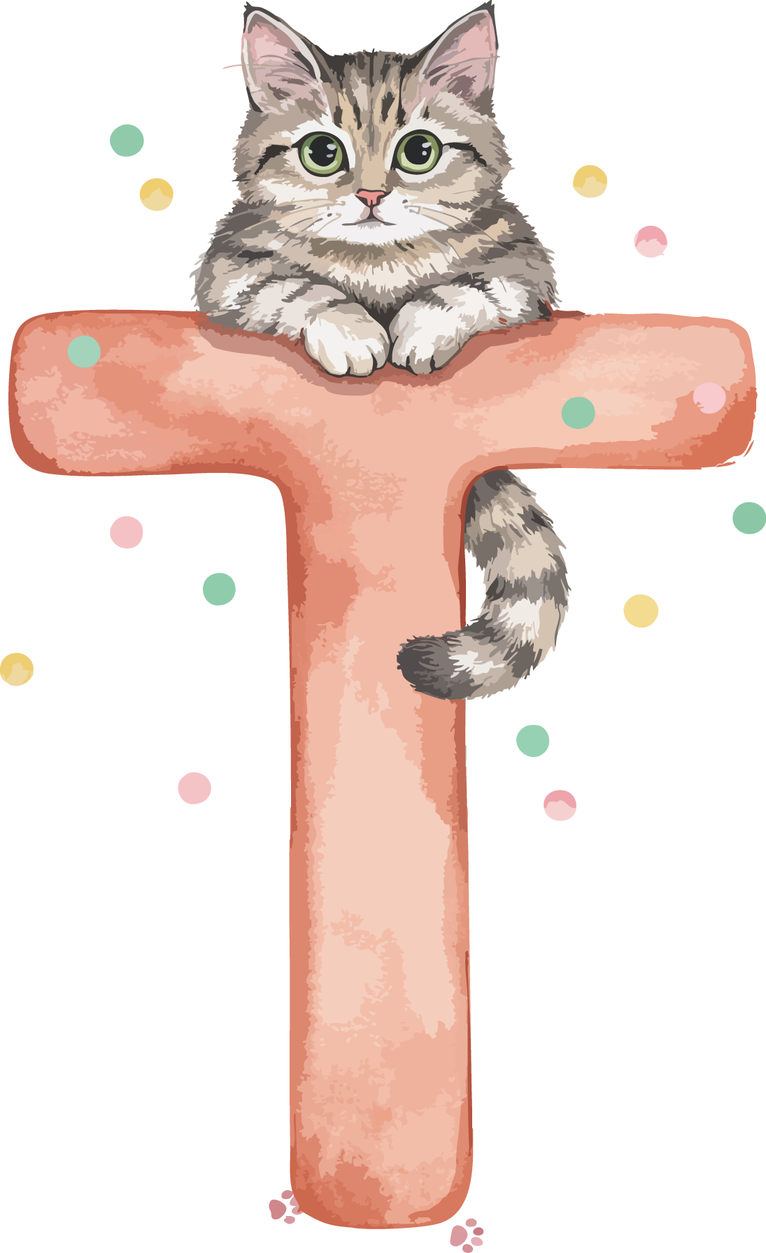 T Cat Theme Watercolor Alphabet PNG