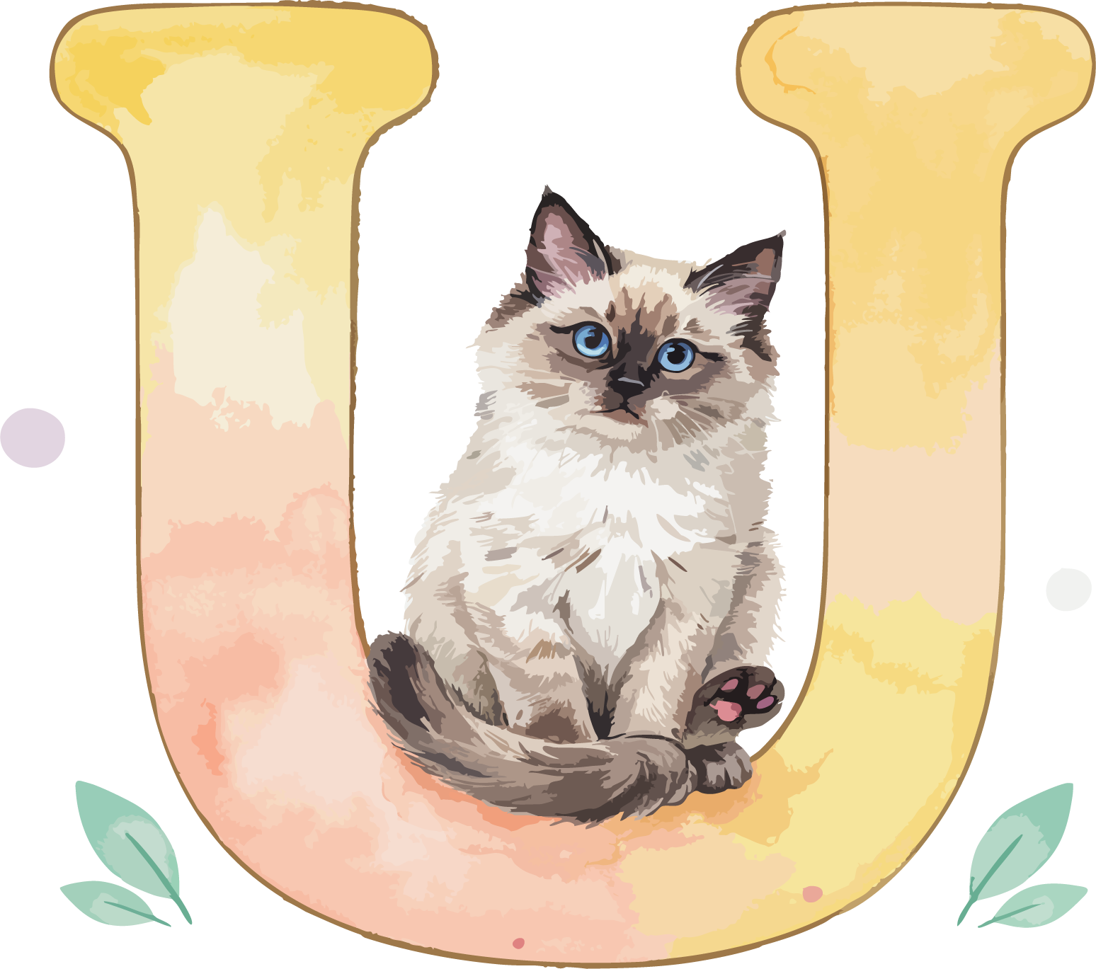 U Cat Theme Watercolor Alphabet PNG