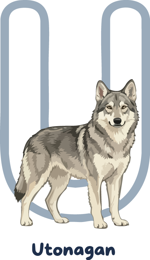 Utonagan Dog Breed Alphabet PNG
