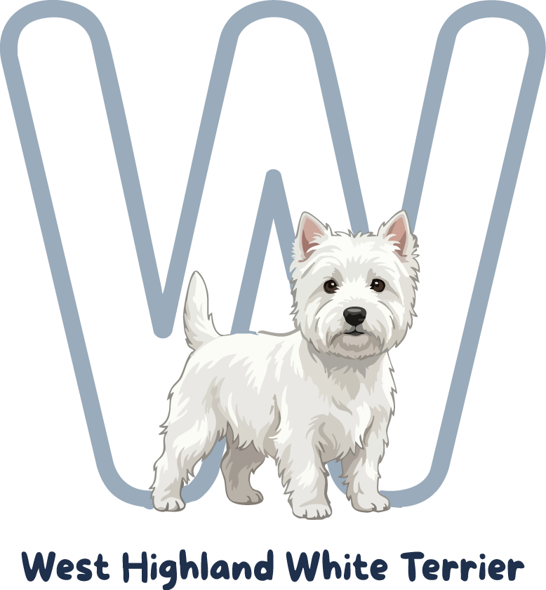 West Highland White Terrier Dog Breed Alphabet PNG