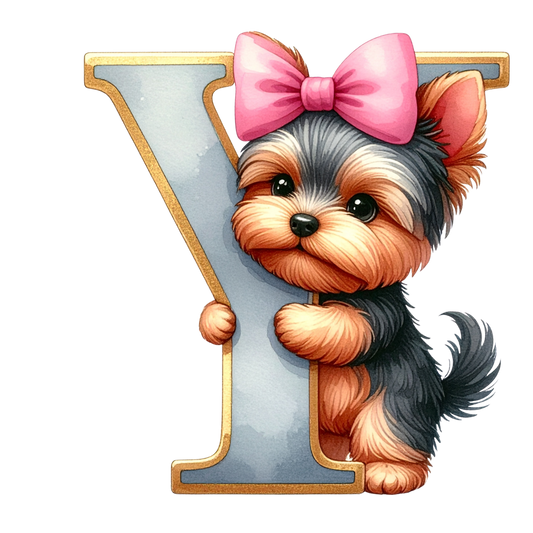 Y PNG Clip Art