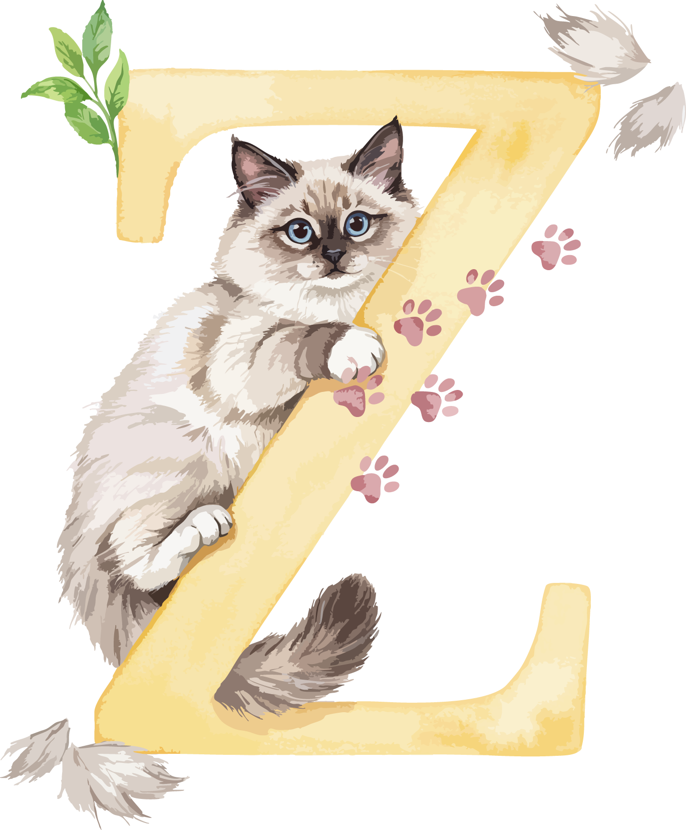 Z Cat Theme Watercolor Alphabet PNG
